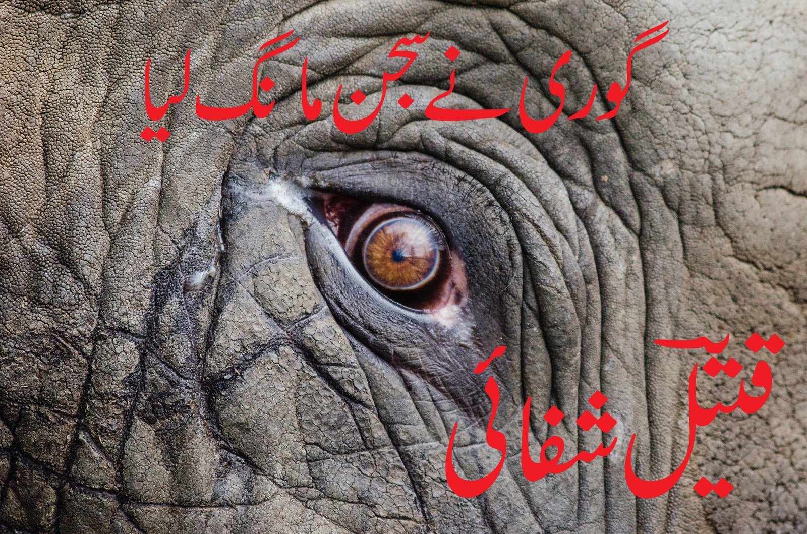 Gori Ne Sajjan Mang Lia By Qateel Shifai Urdu Sad Poetry Urdu Poetry